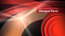 Top 5 Remedies To Treat Dengue Fever-jsy97