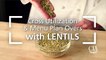 Cross Utilization and Menu Plan Overs with Lentils - Lentil and Bulgur Pilaf-0PQfqtA