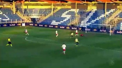 Armin Hamzic Goal HD - Liefering 0-3 Wacker Innsbruck 02.05.2017