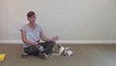 How to teach your dog his left paw from his right paw - clicker dog training-JtSe