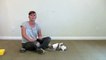How to teach your dog his left paw from his right paw - clicker dog training-JtSe7xy0
