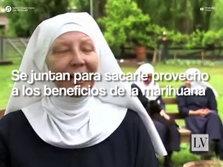 Las monjas de la marihuana, una organización inusual