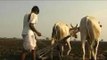 Farmers commit suicide due to love problems, impotency : Radha Mohan Singh