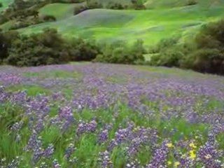 Tavaszi szél (version rock)