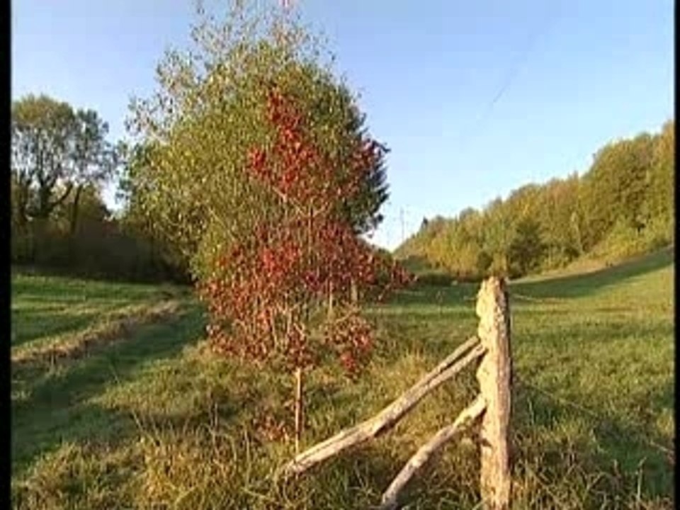 Jura : le diamant de la Vouivre