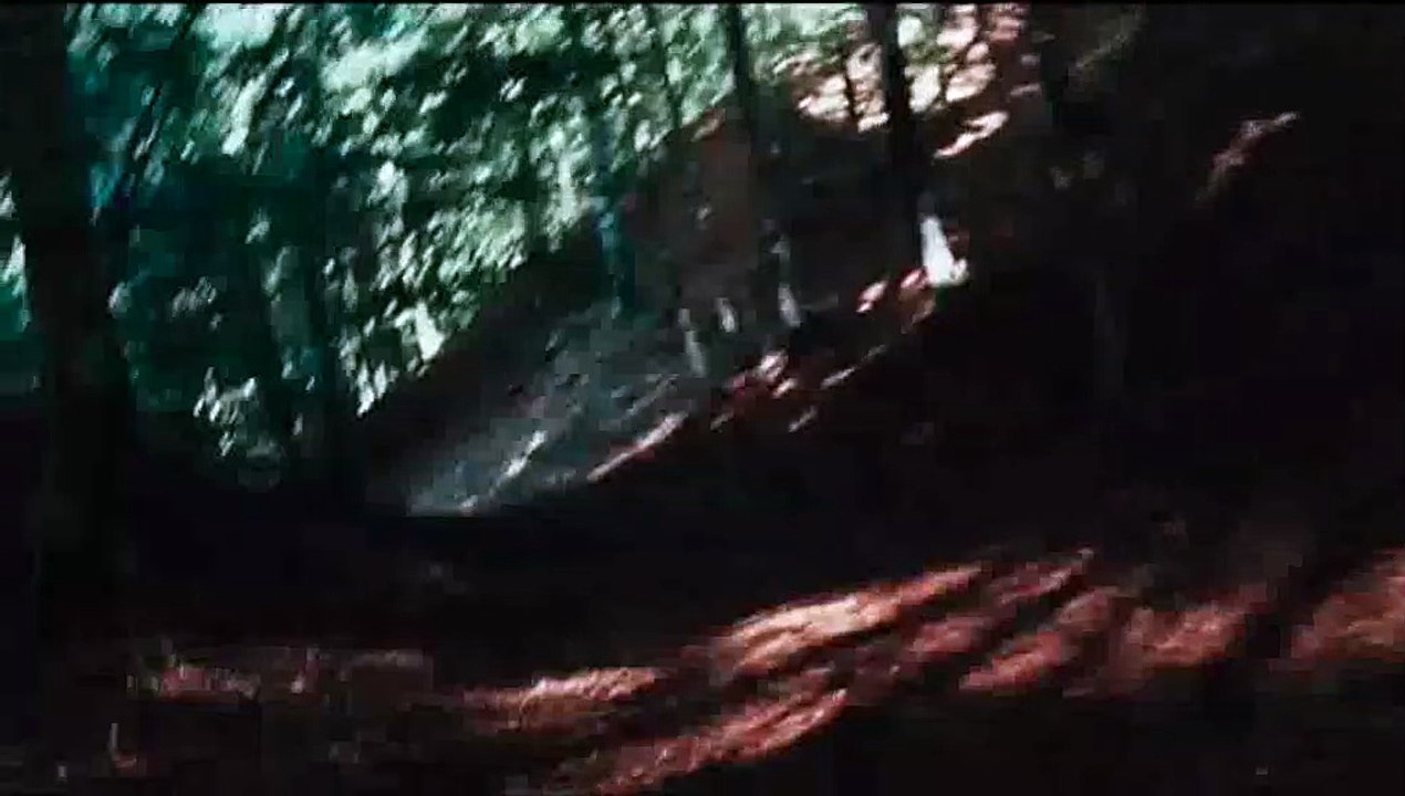 Cavalli (2011) Short scene