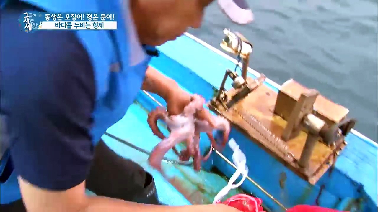 오션뷰, 바다 위의 특별한 커피숍! [그들이 사는 세상] 4회 20160731