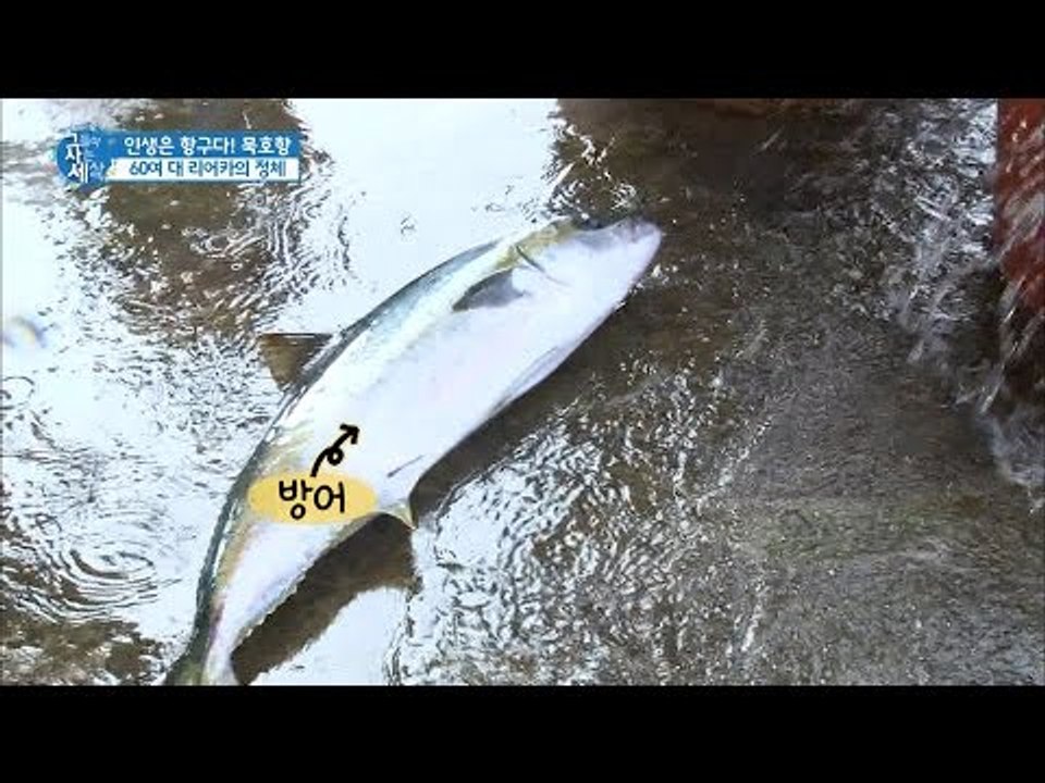 묵호항 배 돌아오는 시간, 리어카 부대 출동! [그들이 사는 세상] 4회 20160731