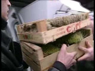 Hôtel Meurice Paris