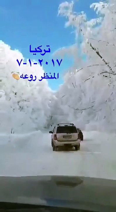 whatsapp video