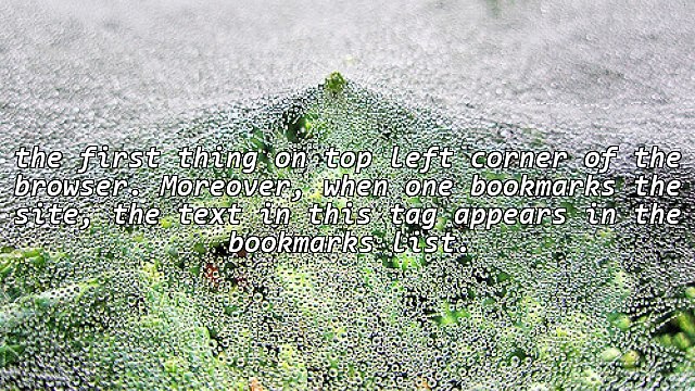 Role of Meta Title Tag in Search Engine Optimization