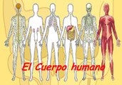 LOS 11 SISTEMAS DEL CUERPO HUMANO - CELULA - FIBRAS - TEJIDO - ORGANOS : DOCUMENTAL COMPLETO