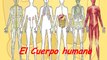 LOS 11 SISTEMAS DEL CUERPO HUMANO - CELULA - FIBRAS - TEJIDO - ORGANOS : DOCUMENTAL COMPLETO