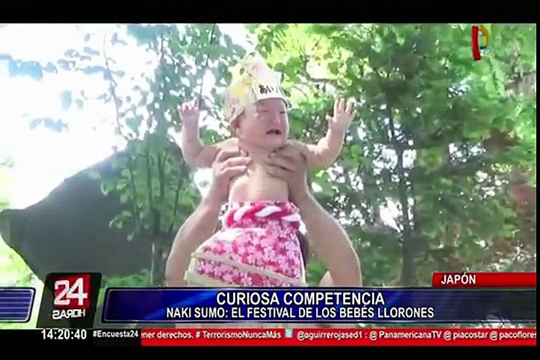En Japón se celebró el Naki Sumo, el festival de los bebés llorones