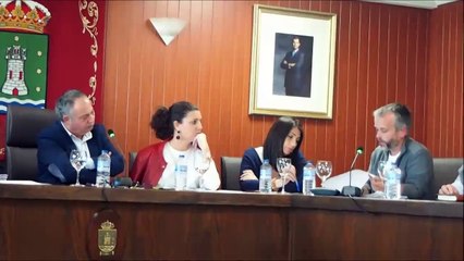Pleno Cee- Desguace