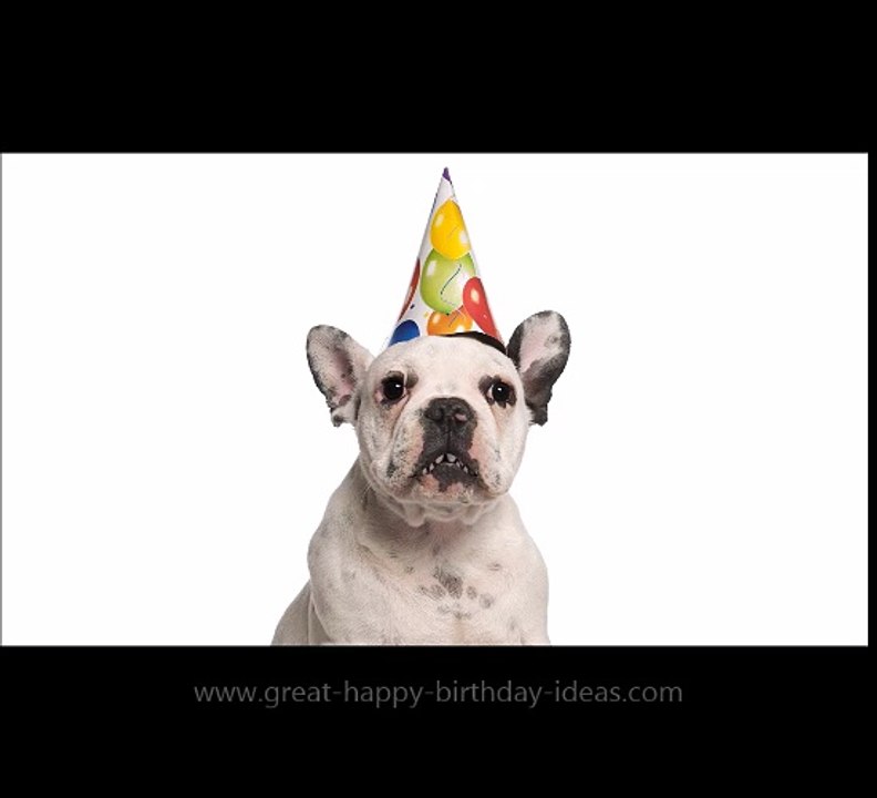 Hey Dog Happy Birthday