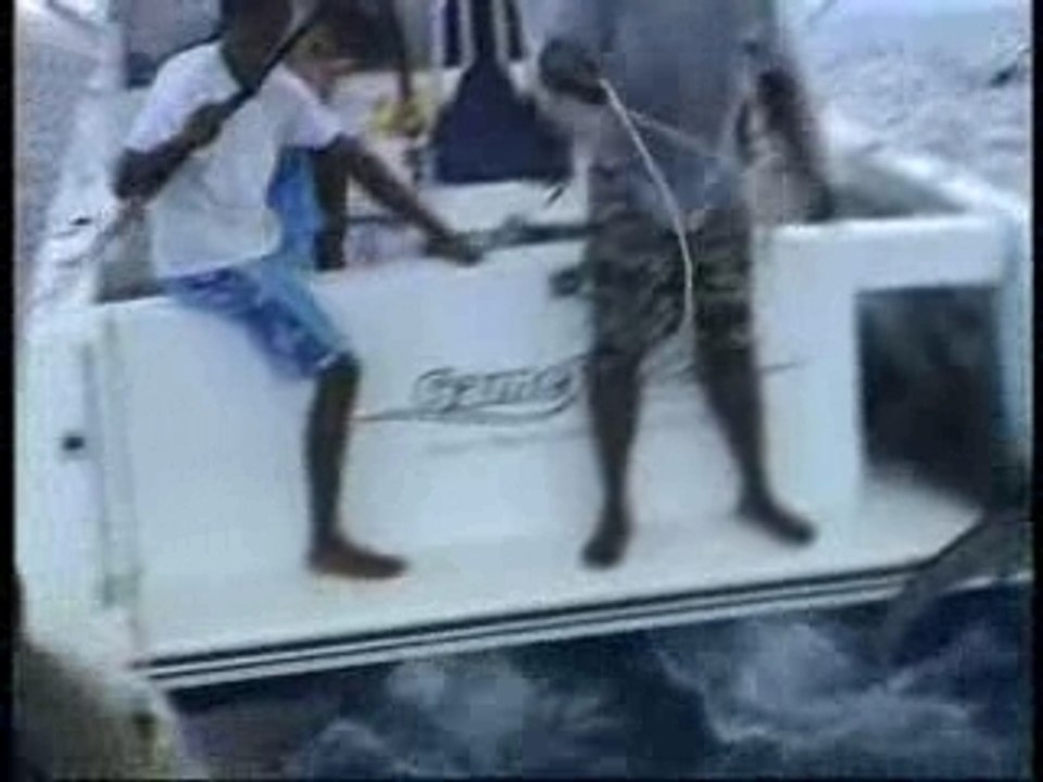 Maurice, l'île poisson