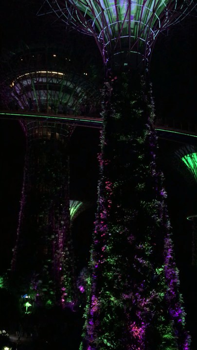 spectacle Garden Rhapsody (1/4) au Gardens by the Bay (Singapour), le 11 juin 2016