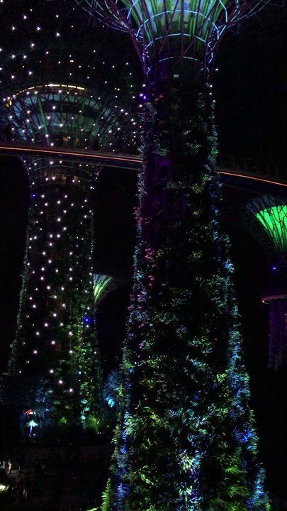 spectacle Garden Rhapsody (4/4) au Gardens by the Bay (Singapour), le 11 juin 2016