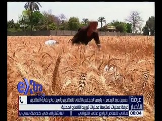 غرفة الأخبار | أمين نقابة الفلاحين يكشف كواليس ازمة توريد القمح