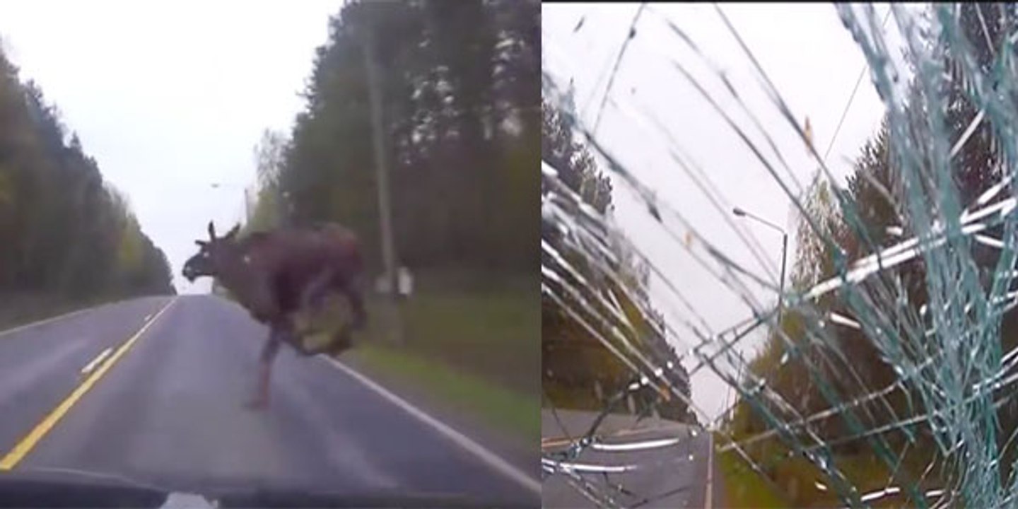 Une vidéo de Dashcam capturent un accident d'orgue tendu. C'est vraiment horrible!!