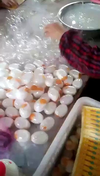 plastice Egg making same origenal egg