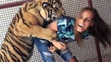 Aggressive tiger "attacks" young woman