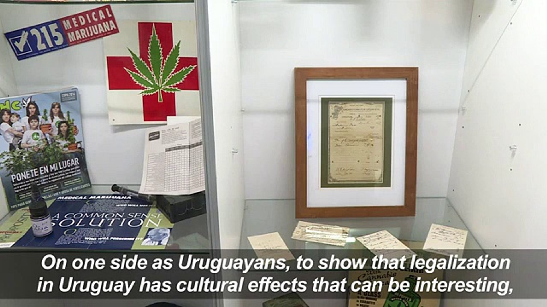 Cannabis museum celebrates lega23423wer