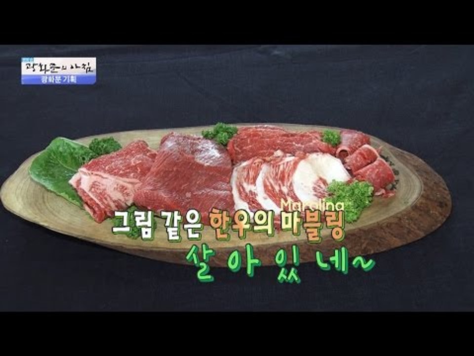 한우로 다이어트를! 한우 불고기 덮밥 만들기! [광화문의 아침] 282회 20160726