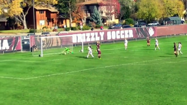 4885 Silver Pine Drive Castle Rock, CO 80108 Home For Sale