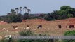 Climate change hits parched, opopopoiuiyututtu