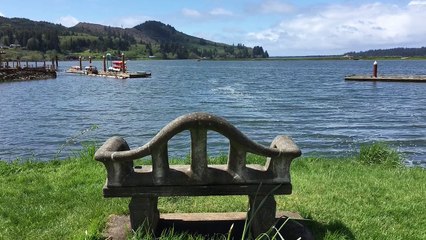 Benchmarkn Wheeler Oregon Bench