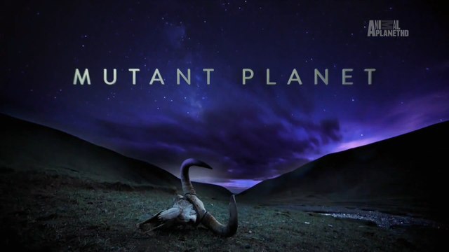 Планета Мутантов Африканская рифтовая долина