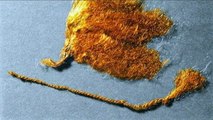 Atahualpa Fernández Arbulú - Clases de fibras textiles
