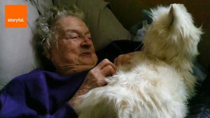 Son Buys Robot Cat for Sick Mother's Birthday