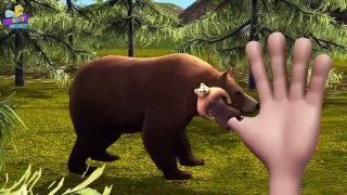 Finger Family Bear Family Rhymes _ Animals Cartoon Finger