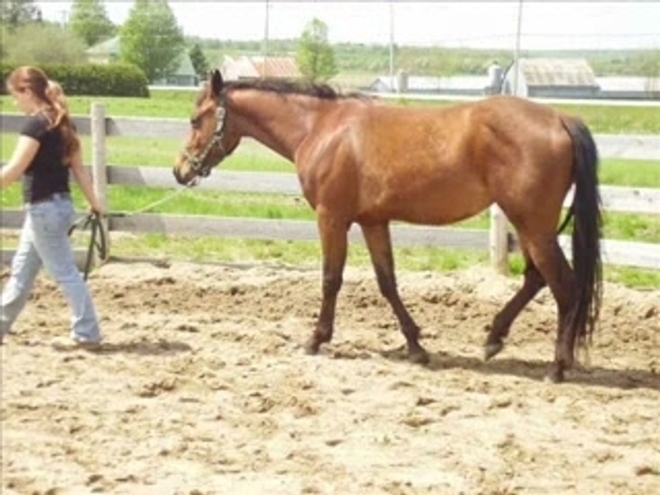 Video Hesa Major_0001