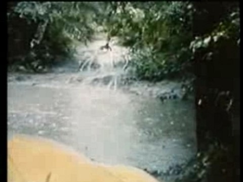 A propos de Tristes Tropiques