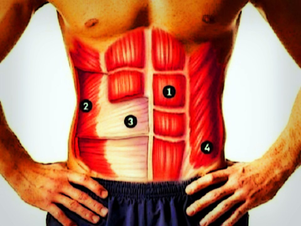 Abs Ejercicios para el Abdomen Sit-Ups flexiones de abdominales en el suelo Para ganar musculos