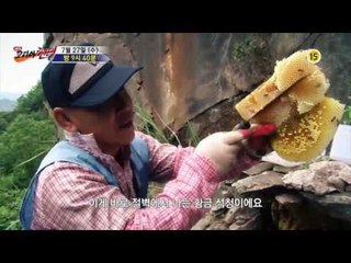 절벽 위의 황금, 석청!_코리아 헌터 8회 예고