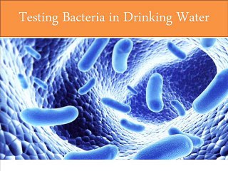 Testing Bacteria in Drinking Water