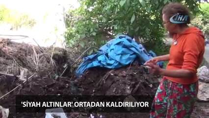 Dünyanın pisliğini ‘siyah altınlar’ ortadan kaldırıyor