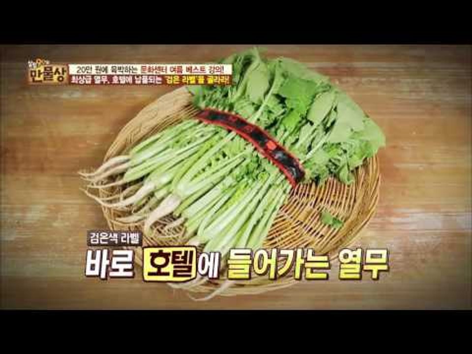 최상급 열무를 고르는 방법! [만물상 150회] 20160724
