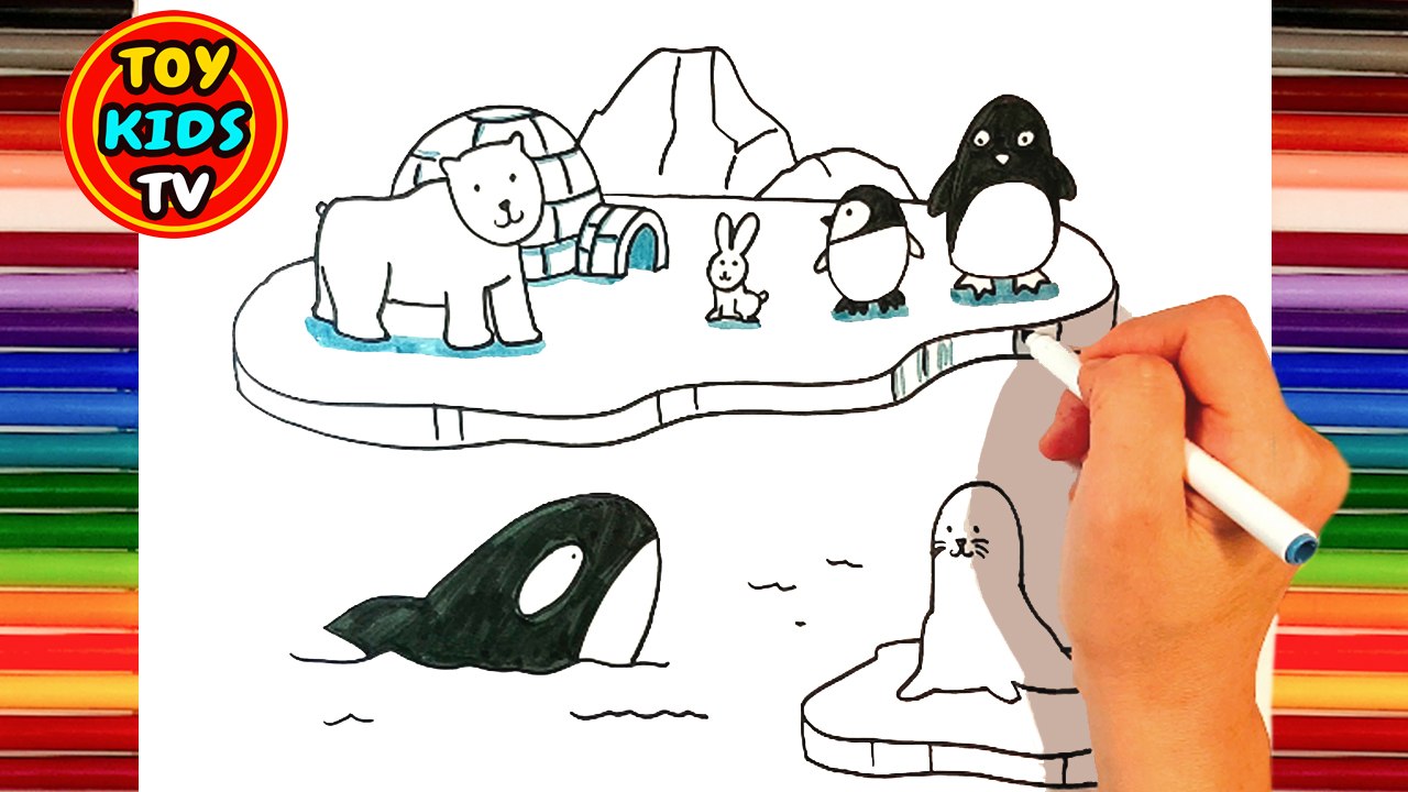 How to draw Arctic Animals | Penguin from Happy feet | Cartoon and Illustration