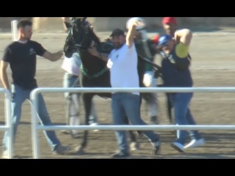 Napoli - Timone Ek, il Varenne di Boscotrecase , vince il Gran Premio di Agnano (02.05.17)