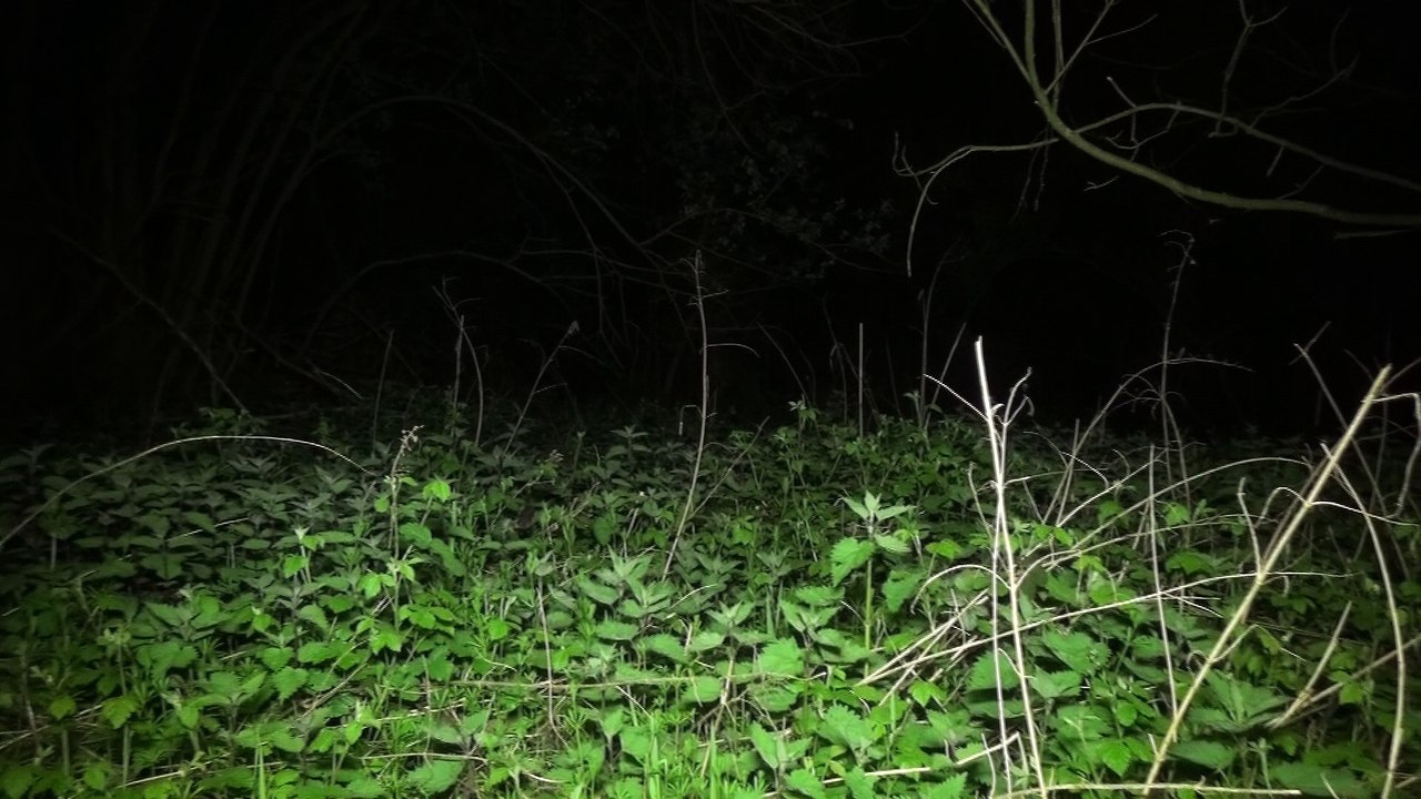 Deel 2: Een Kerkhof uit de 80 jarige oorlog! Je weet niet wat je gaat zien !