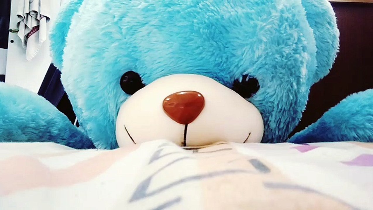 Haru and ThankYou