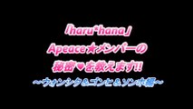 【haru＊︎hana】  Apeace未公開動画「僕の秘密教えます」vol.1 ウォンシク&ゴンヒ&ソンホ編