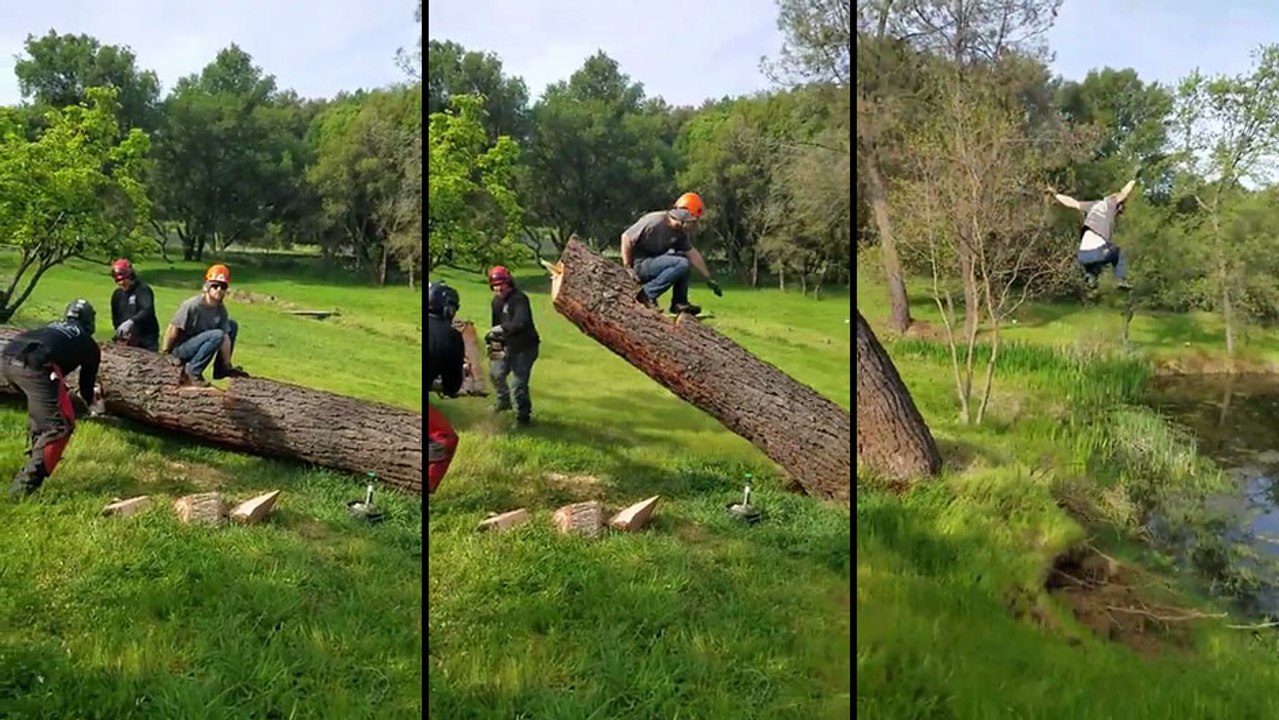 Catapulte avec un arbre