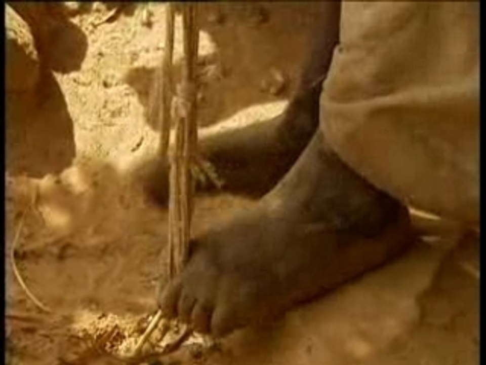 Le sage de Bandiagara
